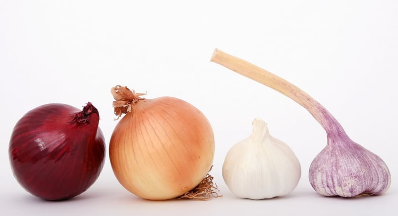 Garlic
