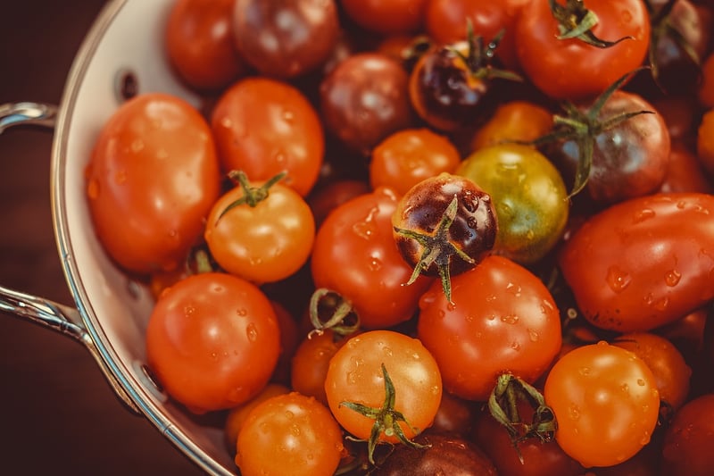 Farm-to-Table Cuisine